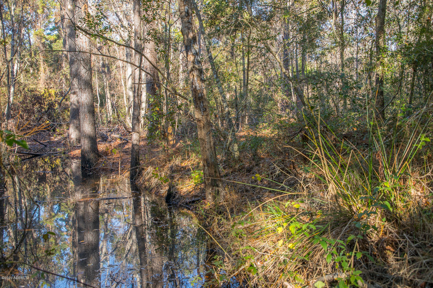 57 Tropicana Road St. Helena Island, SC 29920 - Photo 8 of 13 Stream