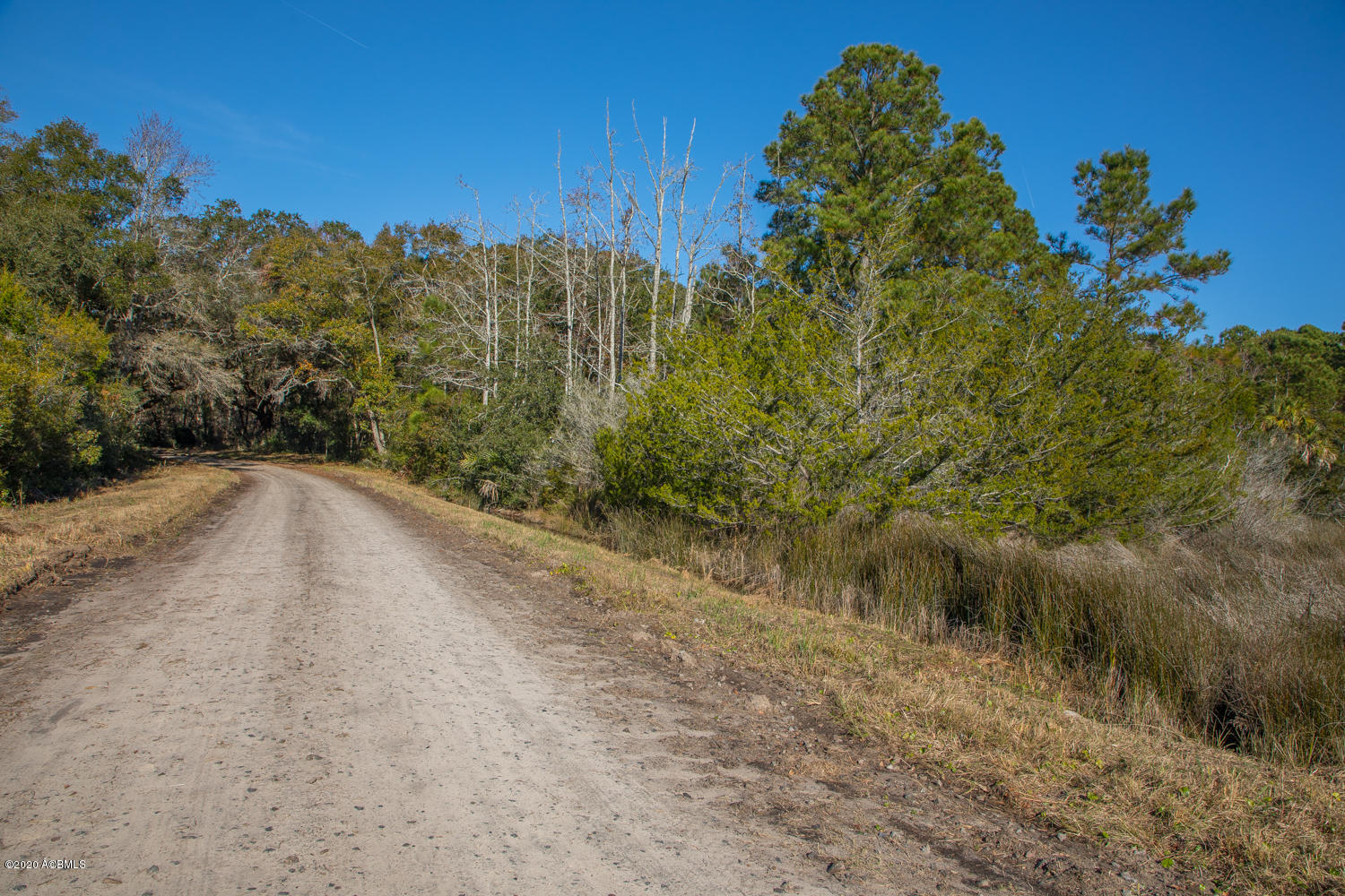 57 Tropicana Road St. Helena Island, SC 29920 - Photo 10 of 13 Road through property - Marsh