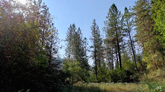 $475,000 | 234 Red Bird Drive, Kooskia, ID 83539