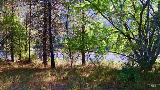 $475,000 | 234 Red Bird Drive, Kooskia, ID 83539