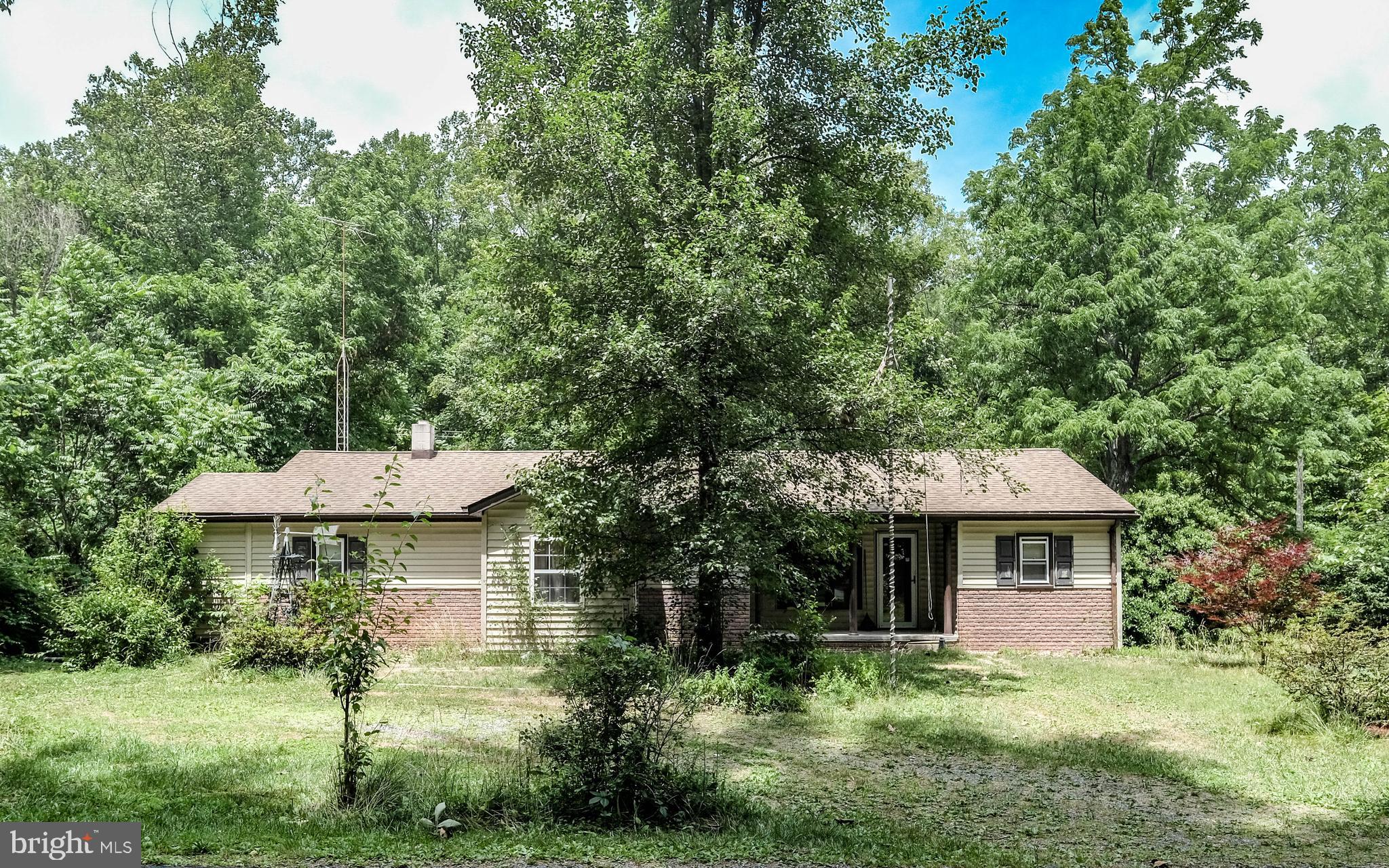 1936 Back Creek Road Gore, VA 22637 - Photo 6 of 45 Gallery Image 6