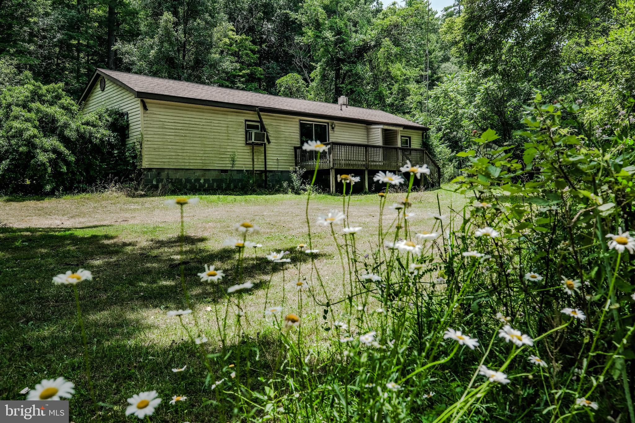 1936 Back Creek Road Gore, VA 22637 - Photo 8 of 45 Gallery Image 8