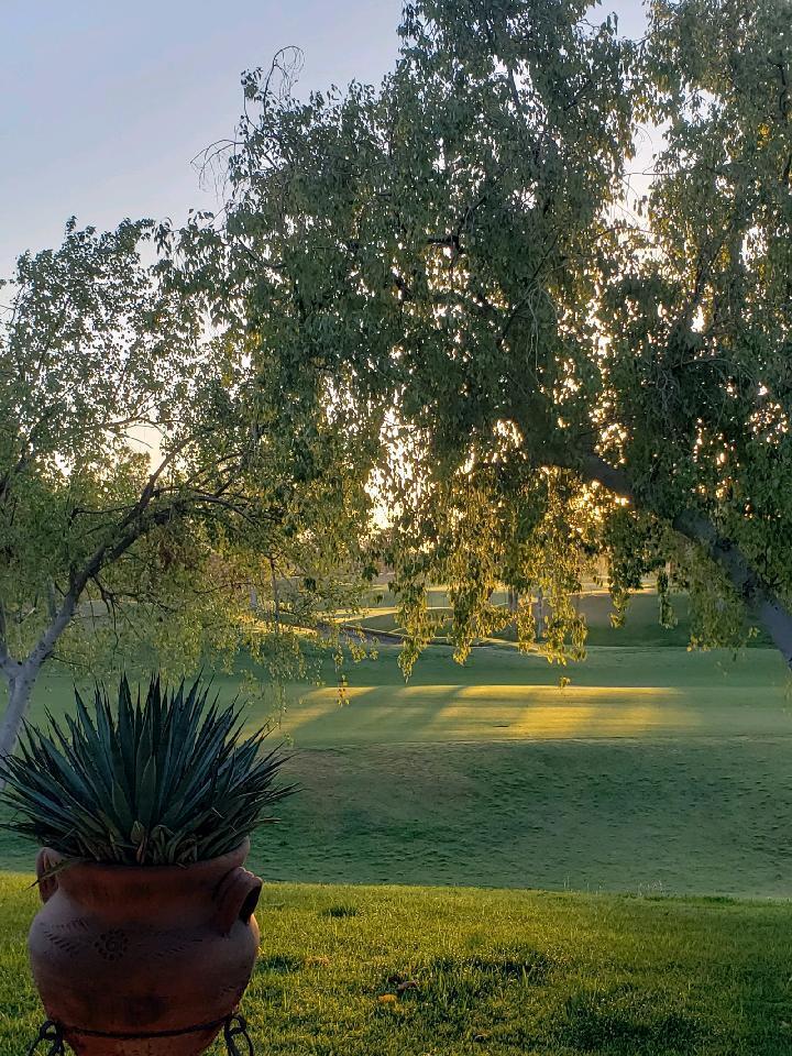 33 Colonial Drive Rancho Mirage, CA 92270 - Photo 48 of 62 a view of a garden with an outdoor space
