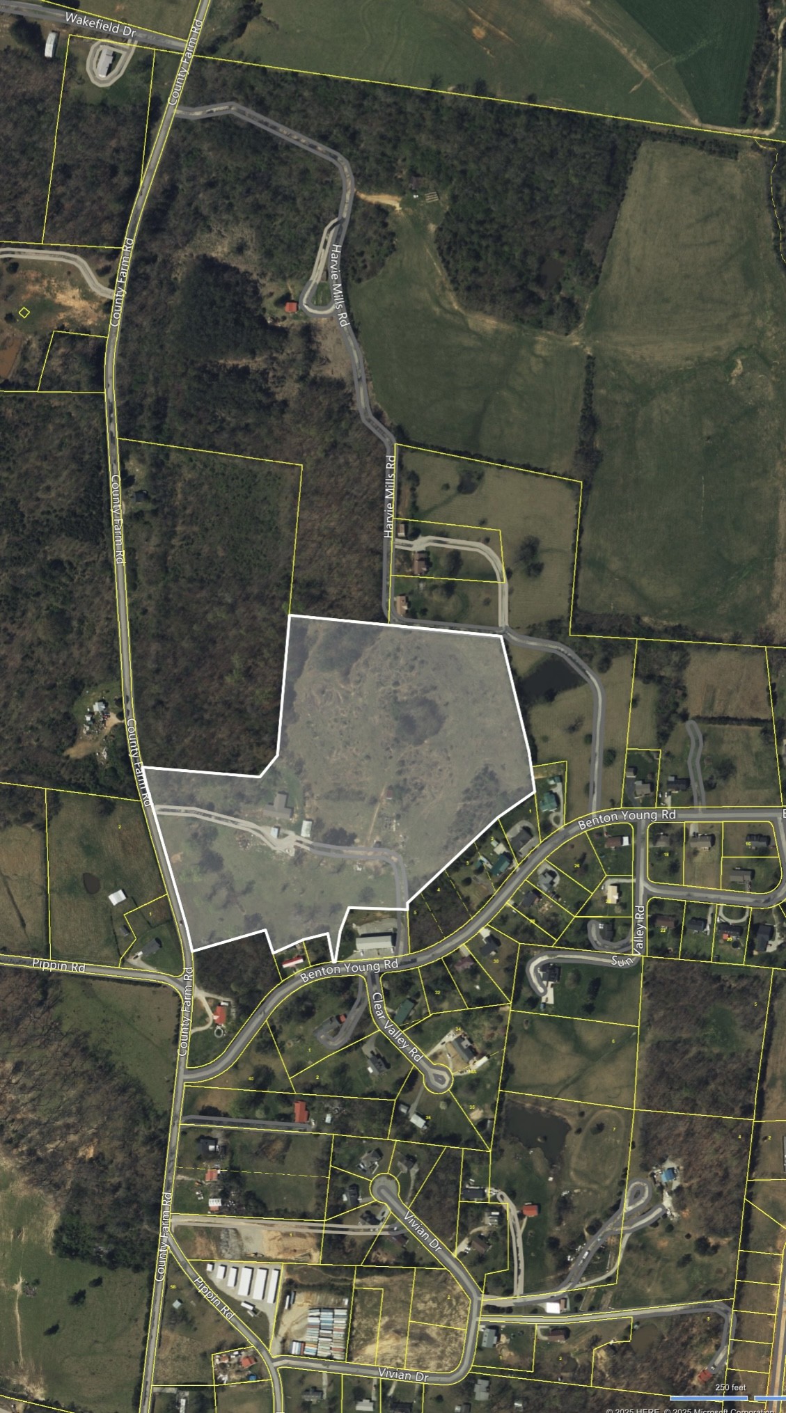 553 County Farm Road Cookeville, TN 38501 - Photo 4 of 12