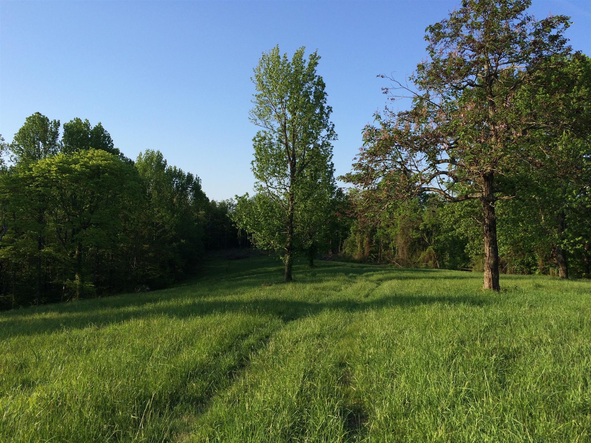 1829 Sugar Ridge Road Spring Hill, TN 37174 - Photo 1 of 18 a view of a park with a tree in the background