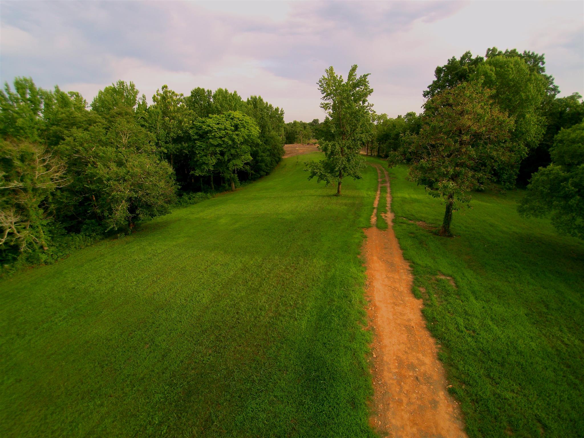 1829 Sugar Ridge Road Spring Hill, TN 37174 - Photo 14 of 18 a view of a road with a yard