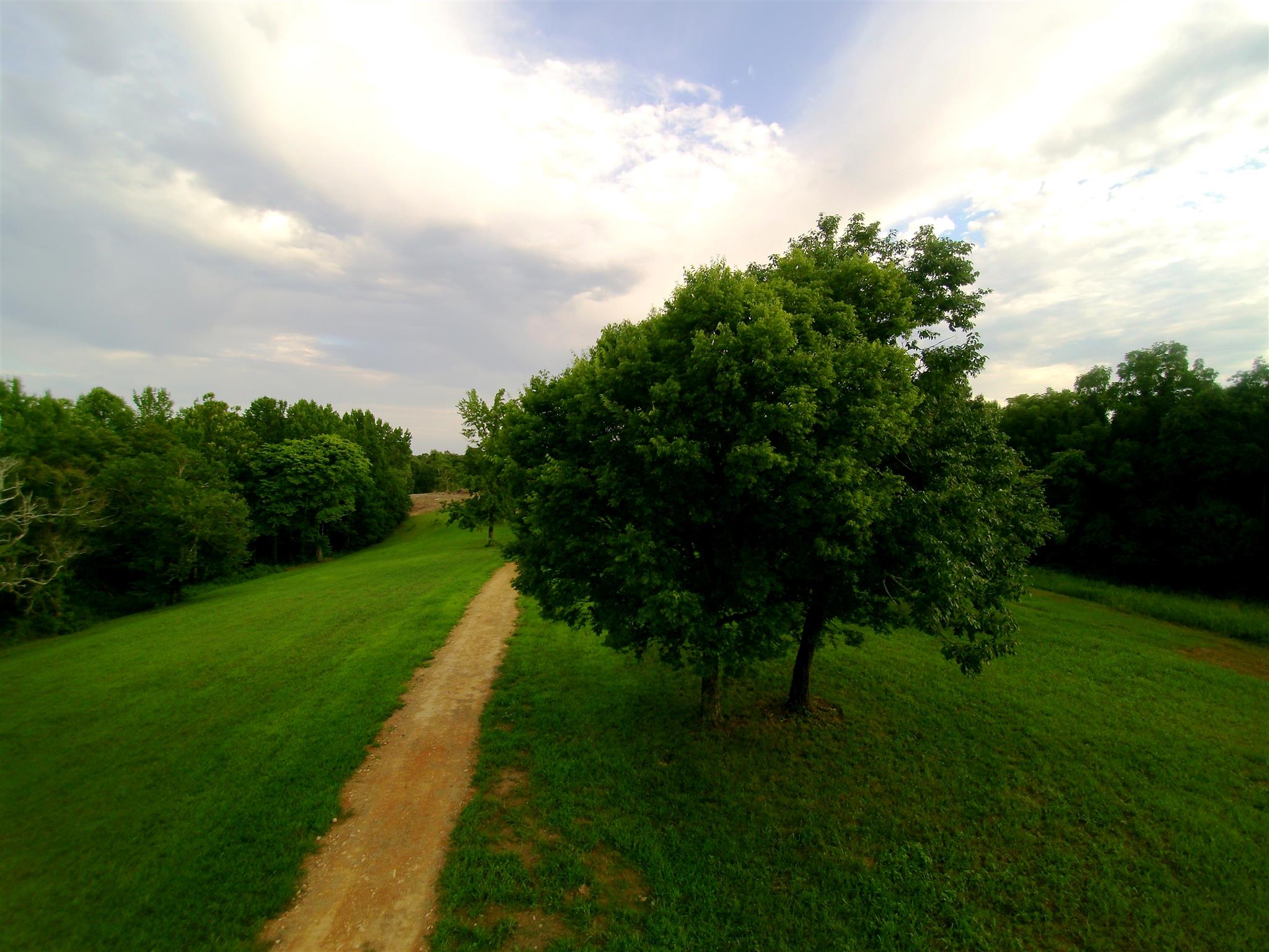 1829 Sugar Ridge Road Spring Hill, TN 37174 - Photo 18 of 18 a view of a golf course with a garden