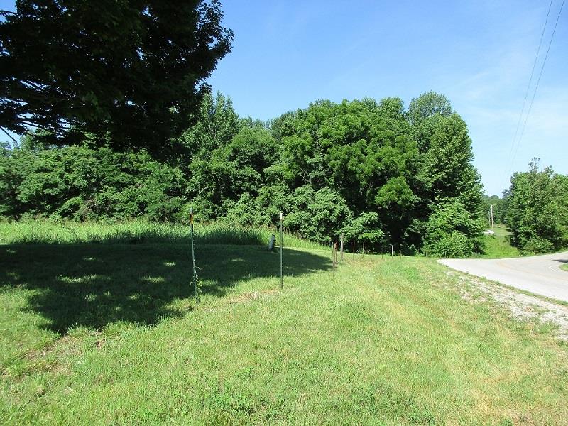 1829 Sugar Ridge Road Spring Hill, TN 37174 - Photo 5 of 18 a backyard of a house with lots of green space