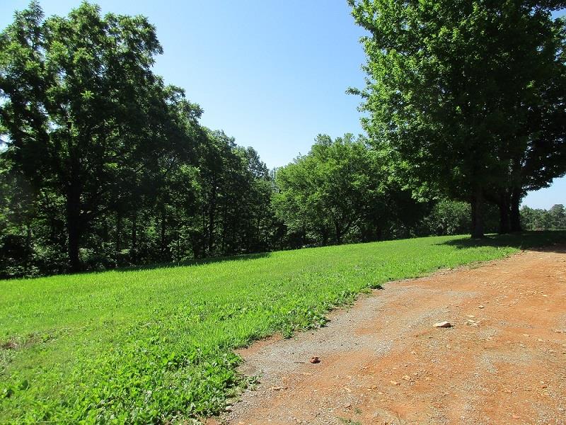 1829 Sugar Ridge Road Spring Hill, TN 37174 - Photo 6 of 18 a view of a park with large trees