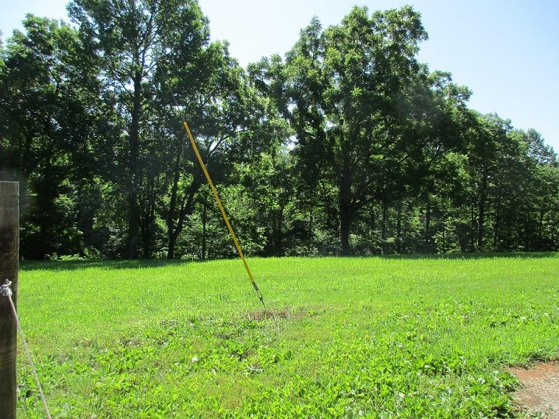 1829 Sugar Ridge Road Spring Hill, TN 37174 - Photo 7 of 18 a view of a field with a trees in the background