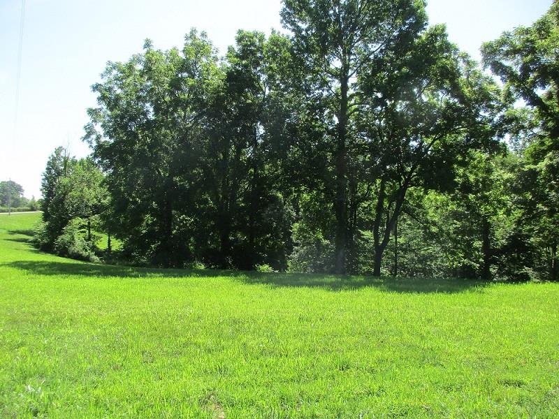 1829 Sugar Ridge Road Spring Hill, TN 37174 - Photo 8 of 18 a view of green field