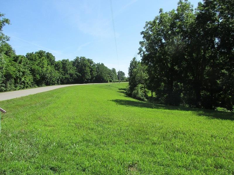 1829 Sugar Ridge Road Spring Hill, TN 37174 - Photo 9 of 18 a view of a grassy field with trees