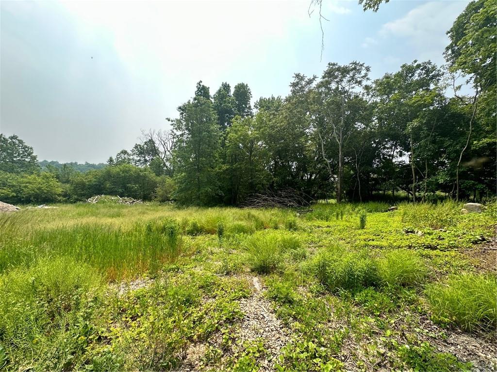 2491 Bruynswick Road Wallkill, NY 12589 - Photo 1 of 1 a view of a garden with a lake