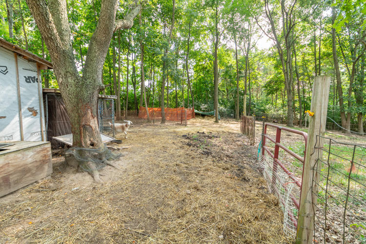 1213 Thomson Road Niles, MI 49120 - Photo 25 of 36 1213 Thomson Rd Niles Yard 15