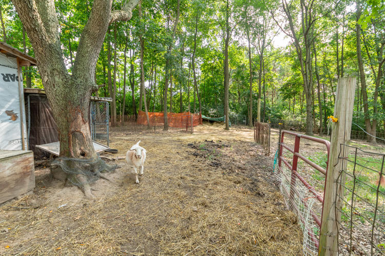 1213 Thomson Road Niles, MI 49120 - Photo 26 of 36 1213 Thomson Rd Niles Yard 16