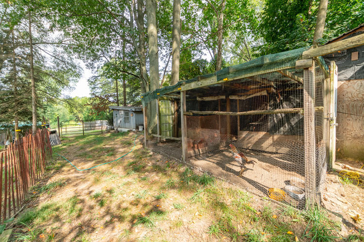 1213 Thomson Road Niles, MI 49120 - Photo 27 of 36 1213 Thomson Rd Niles Yard 17