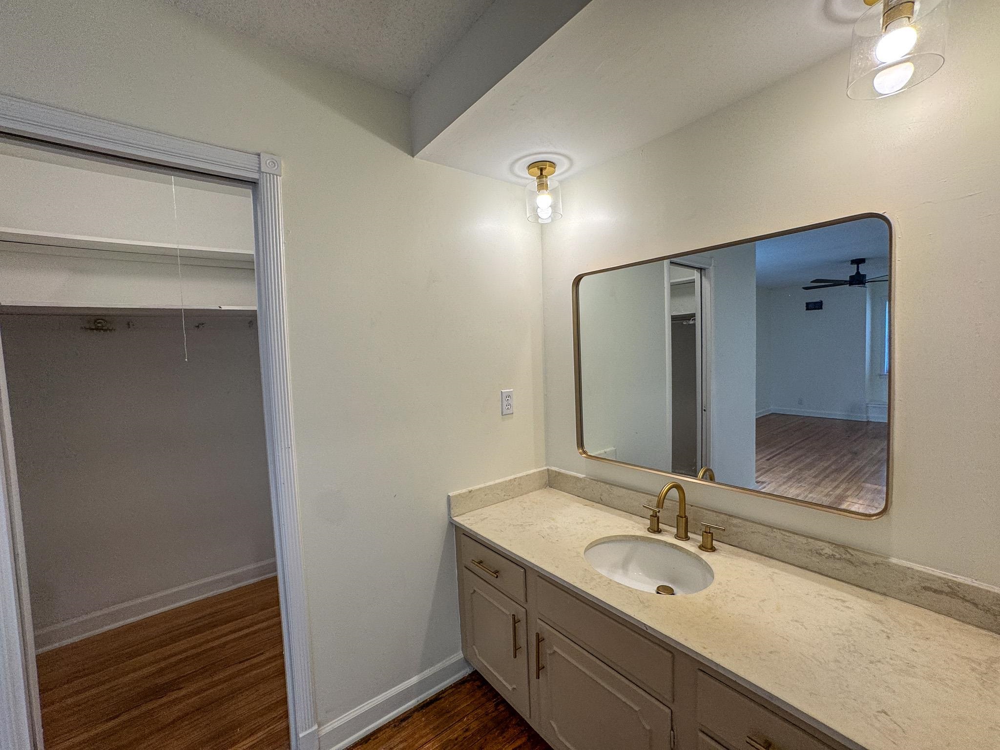 1345 Hickory Ridge Cove Memphis, TN 38116 - Photo 21 of 29 a bathroom with a granite countertop sink and a mirror