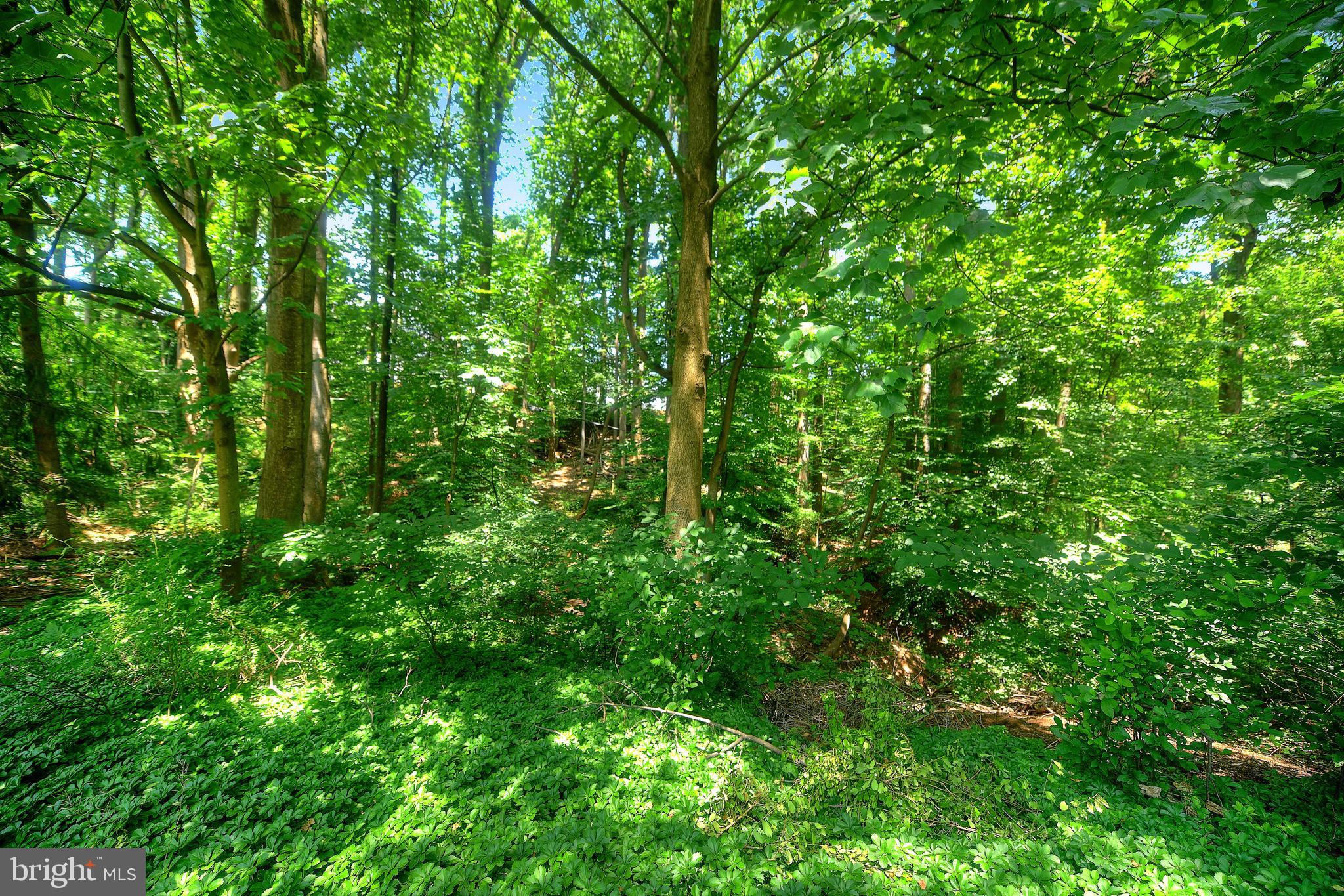 1319 Denby Road Towson, MD 21286 - Photo 26 of 28 View