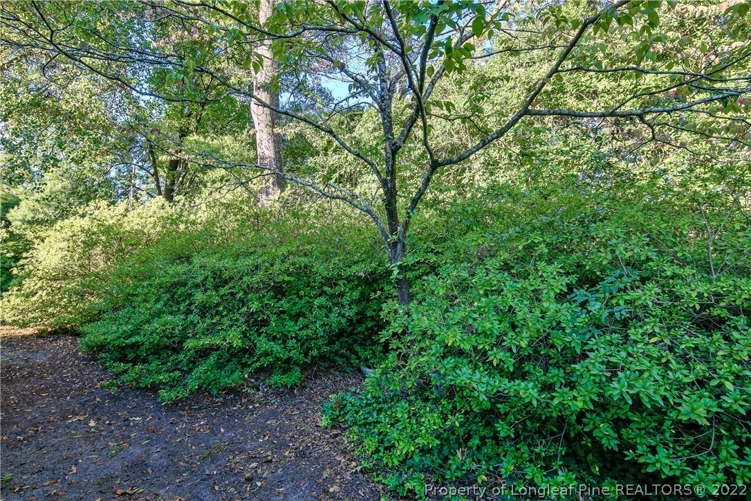 1856 Morganton Road Fayetteville, NC 28305 - Photo 46 of 46 Gallery Image 46