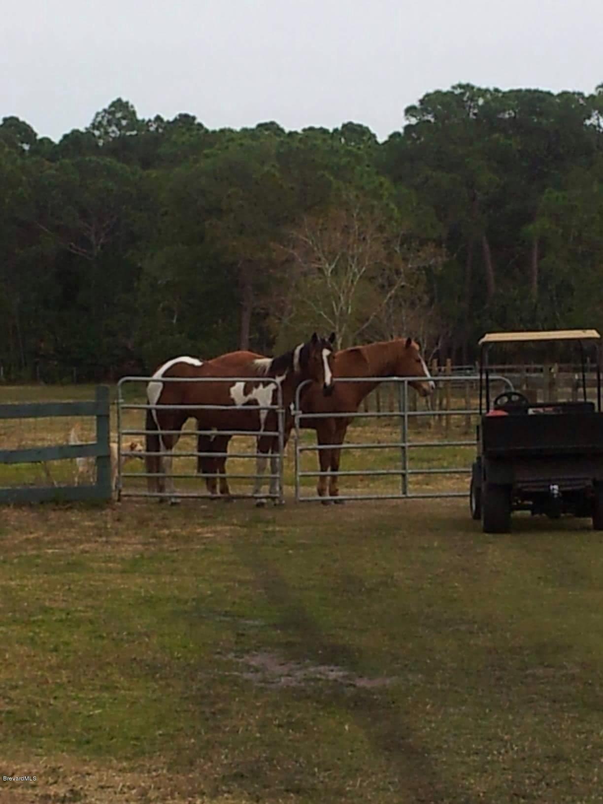 2170 Friday Road Cocoa, FL 32926 - Photo 18 of 31 image