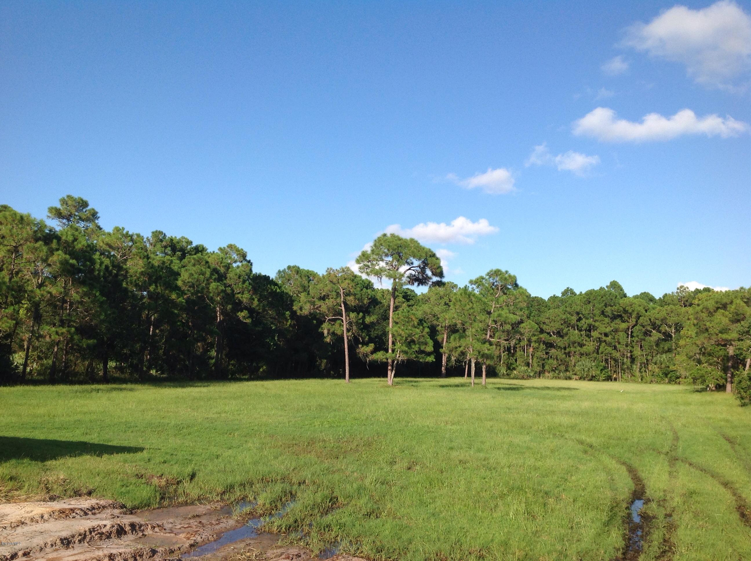 2170 Friday Road Cocoa, FL 32926 - Photo 24 of 31 Back pasture