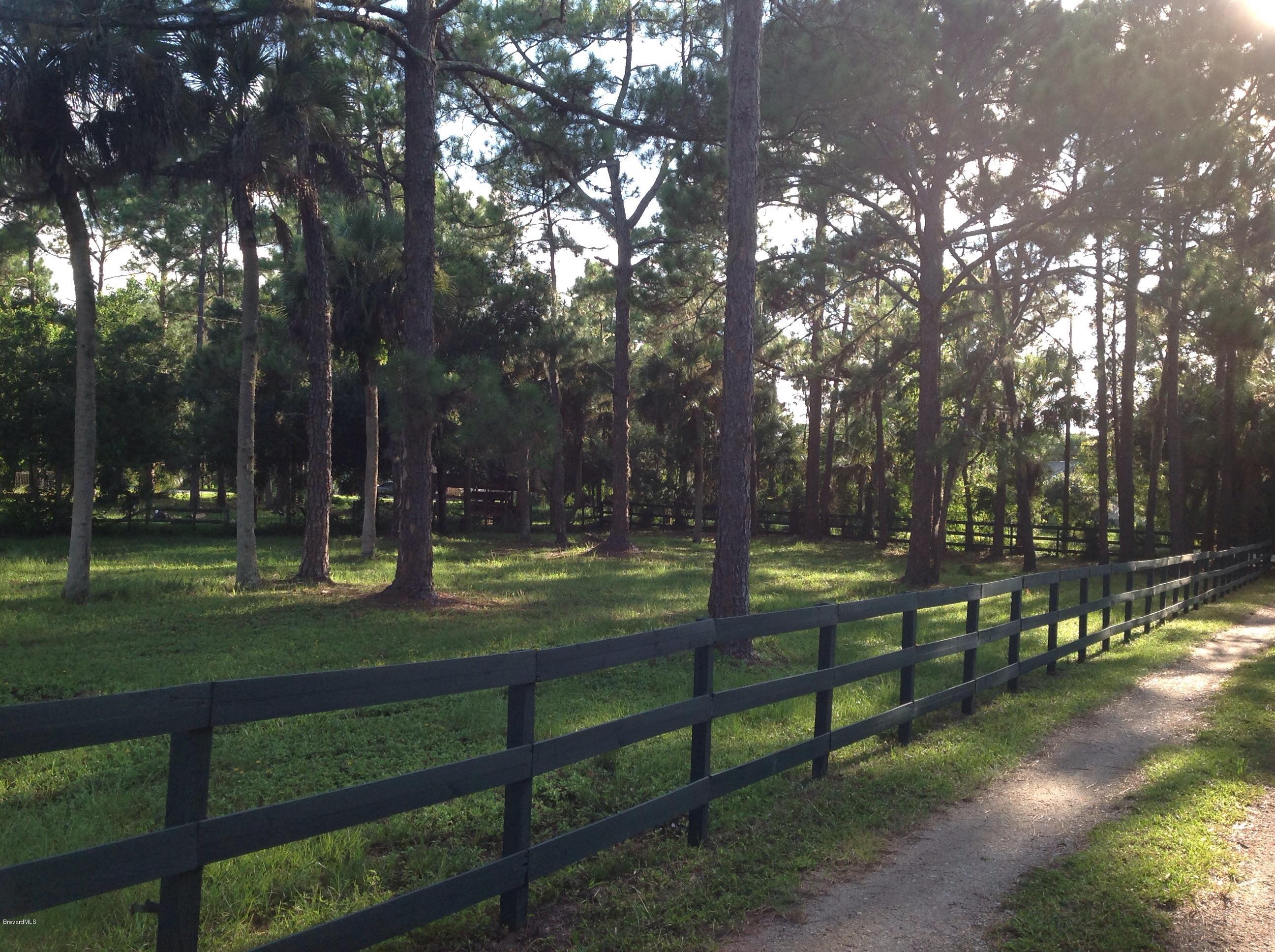 2170 Friday Road Cocoa, FL 32926 - Photo 25 of 31 Front pasture
