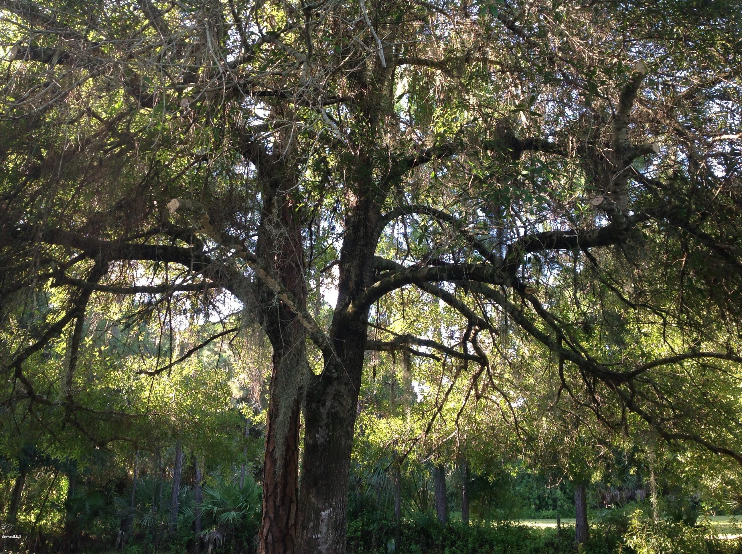 2170 Friday Road Cocoa, FL 32926 - Photo 30 of 31 image