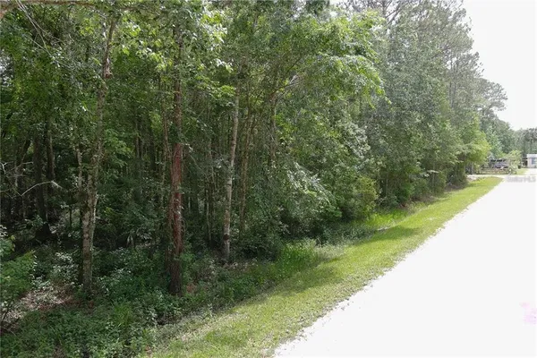 a view of a lake with a yard