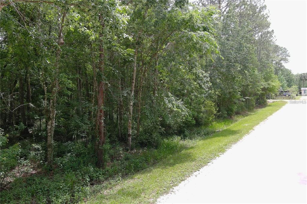 1823 Honeytree Street Bunnell, FL 32110 - Photo 2 of 5 a view of a lake with a yard