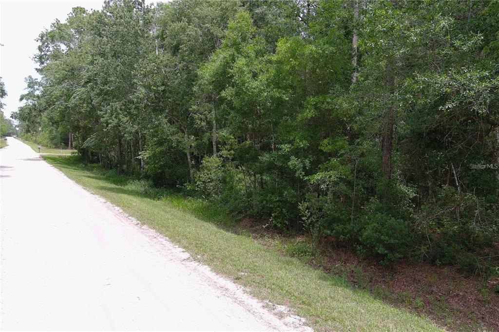 1823 Honeytree Street Bunnell, FL 32110 - Photo 3 of 5 a view of a pathway both side of yard