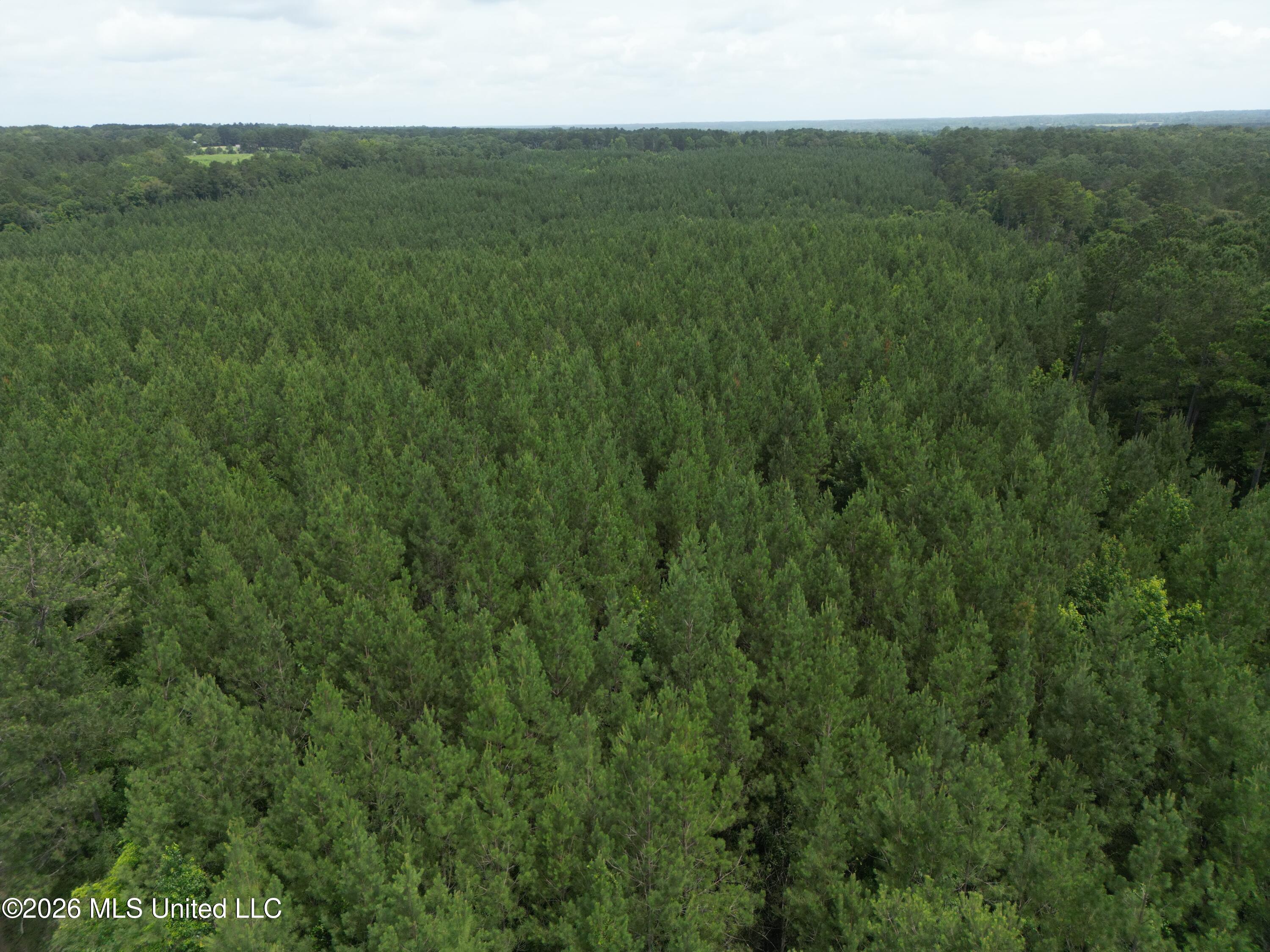 Summit Holmesville Road McComb, MS 39648 - Photo 4 of 29 DJI_0612