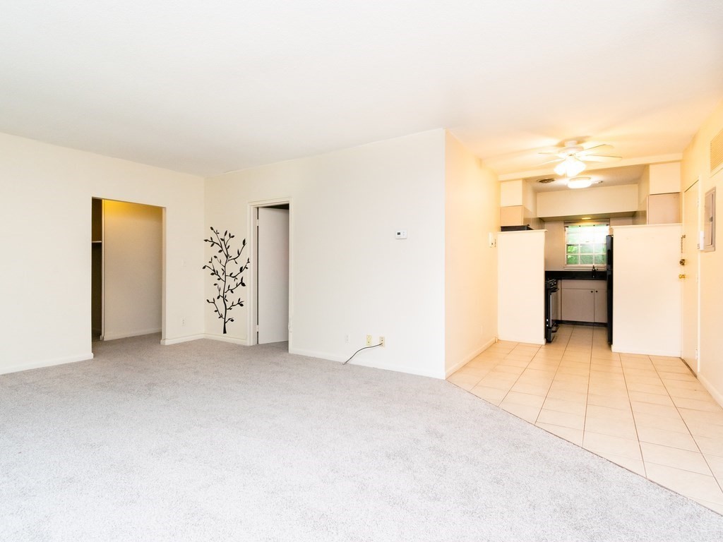125 Lake Shore Road, Unit 3 Boston, MA 02135 - Photo 2 of 12 an empty room with kitchen view and wooden floor