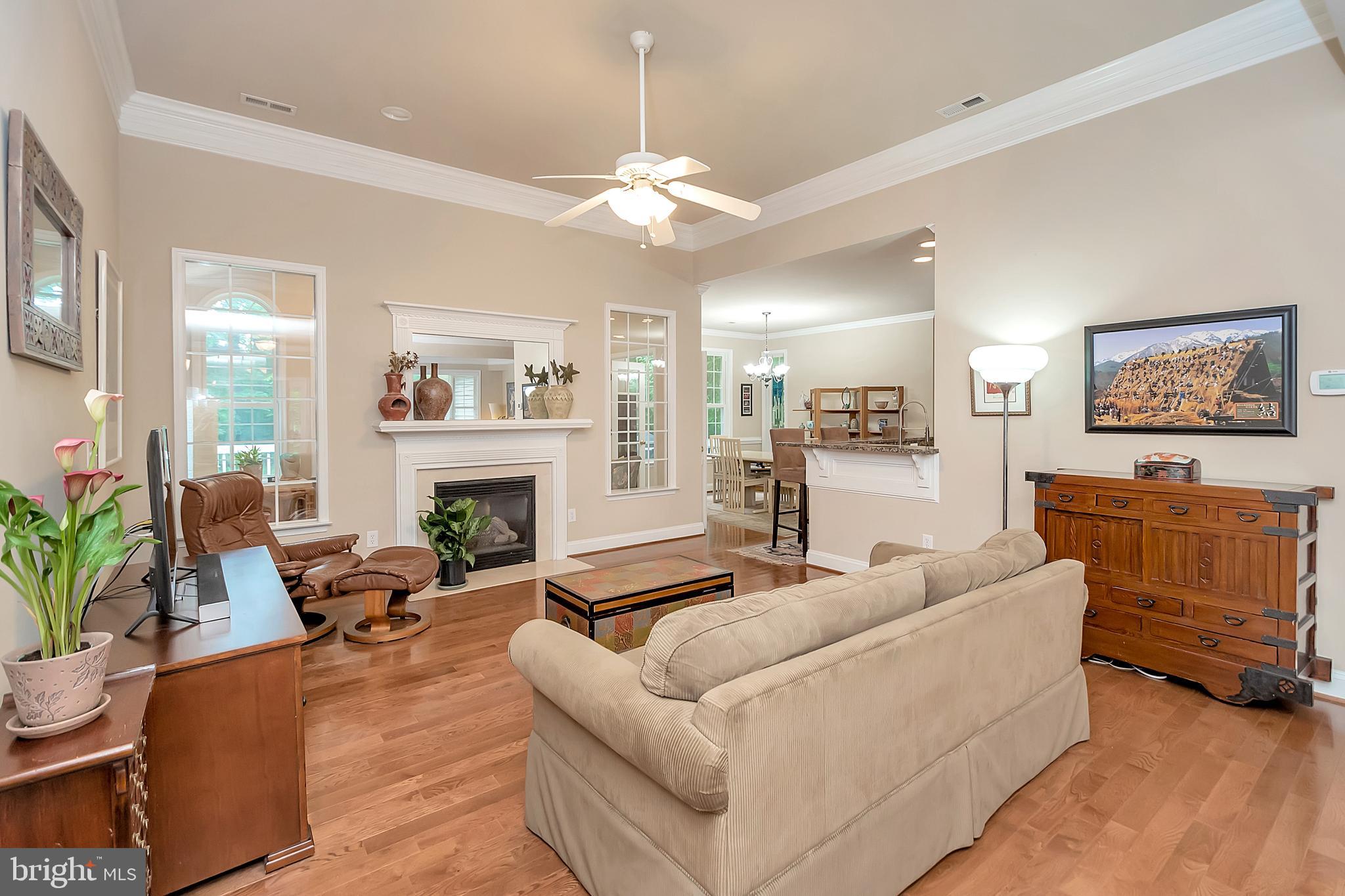 102 Birdie Road Locust Grove, VA 22508 - Photo 8 of 35 a living room with furniture a fireplace and a chandelier