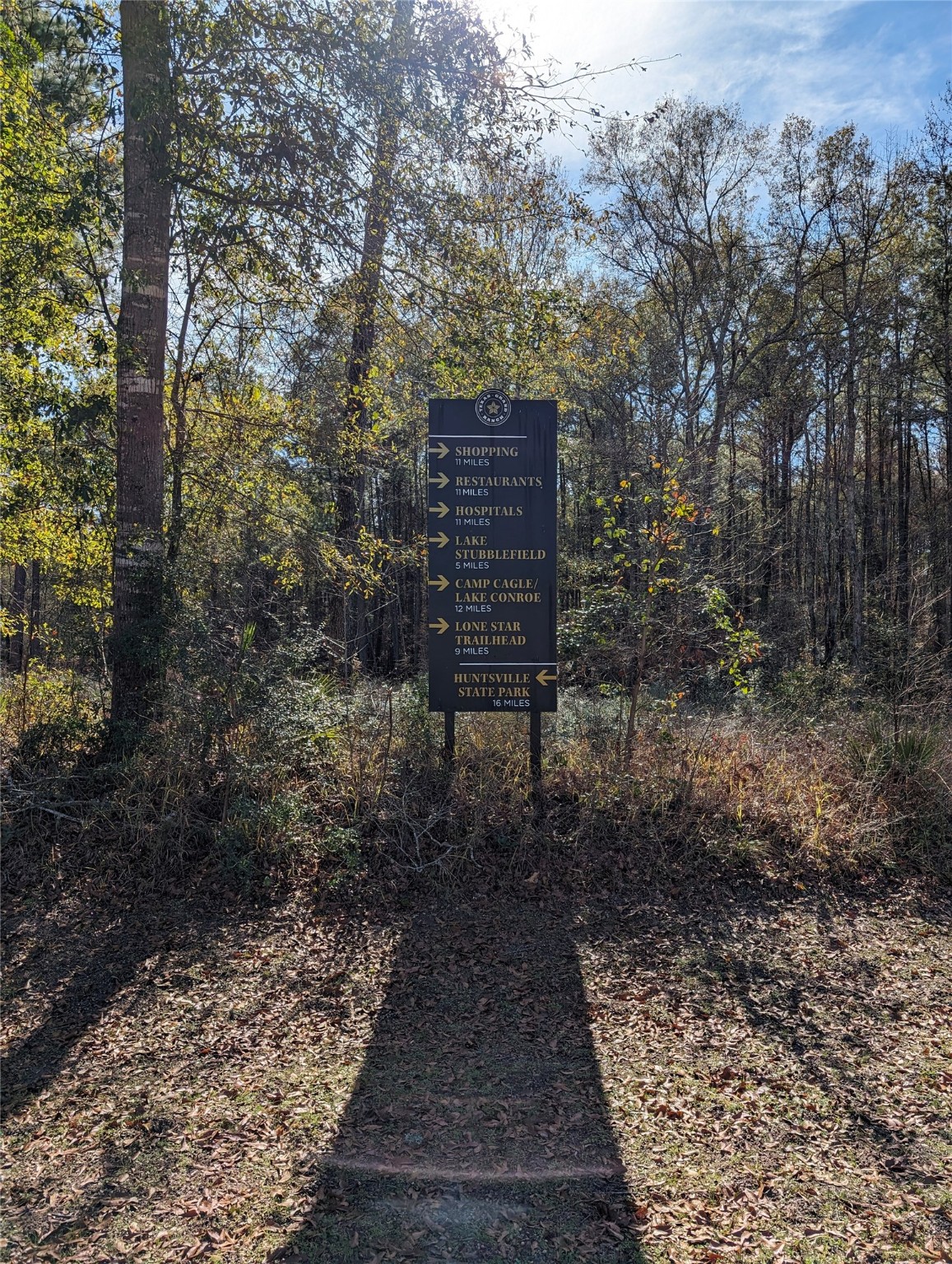 0 Remington Road Huntsville, TX 77340 - Photo 3 of 17