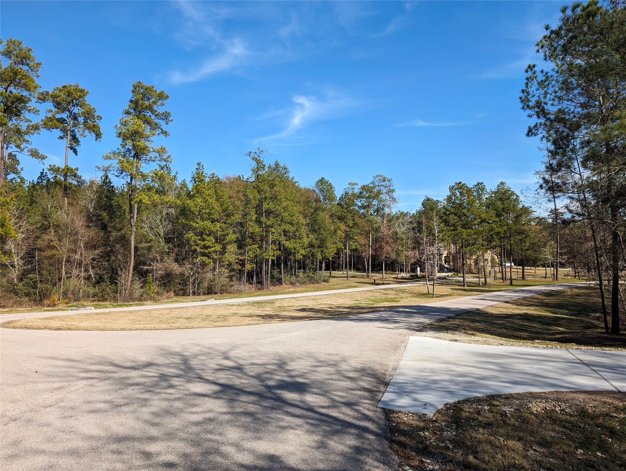 0 Remington Road Huntsville, TX 77340 - Photo 5 of 17