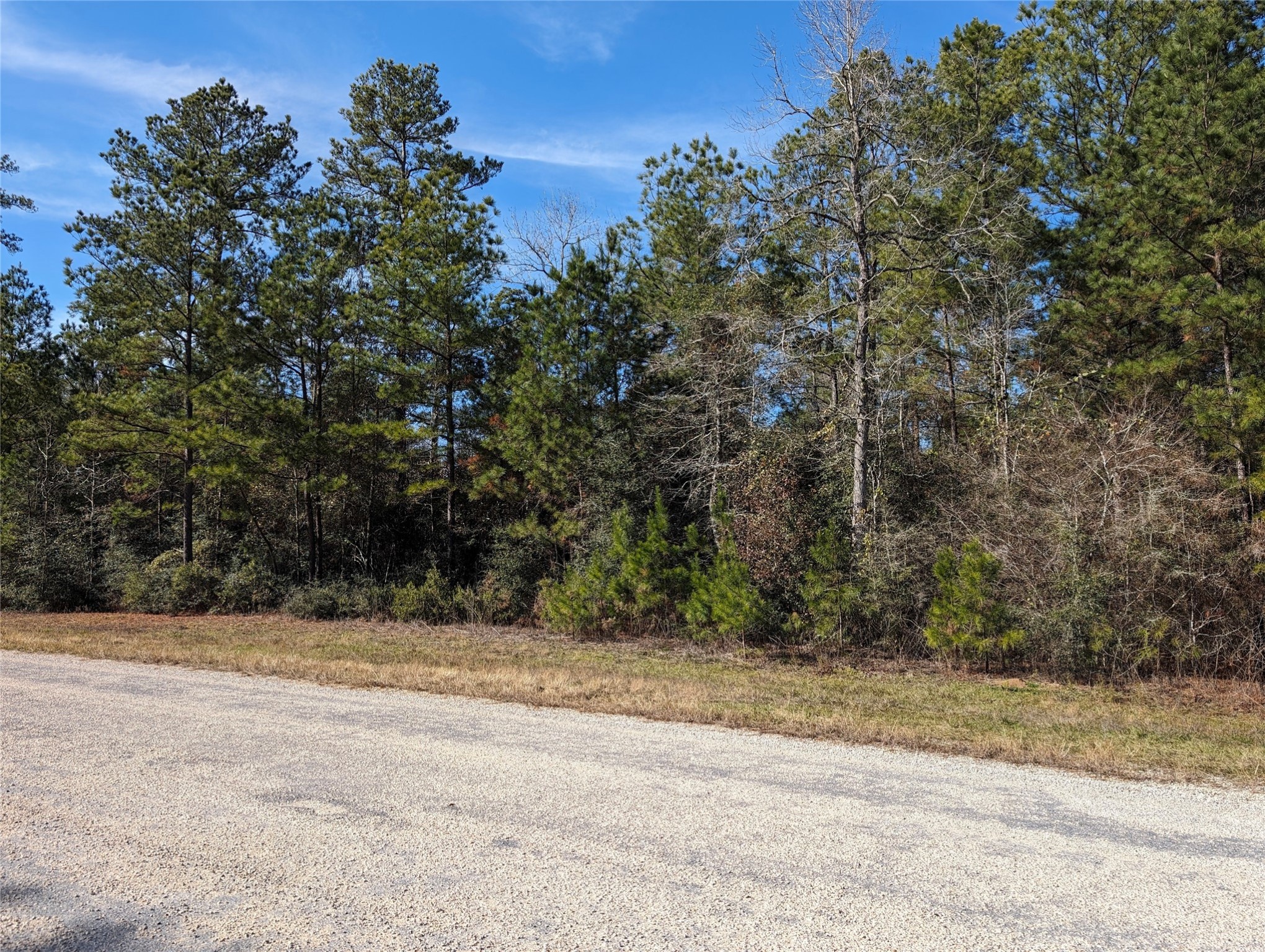 0 Remington Road Huntsville, TX 77340 - Photo 7 of 17