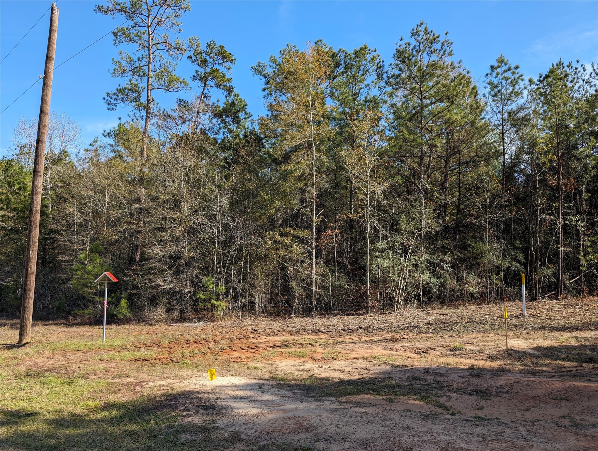 0 Remington Road Huntsville, TX 77340 - Photo 9 of 17