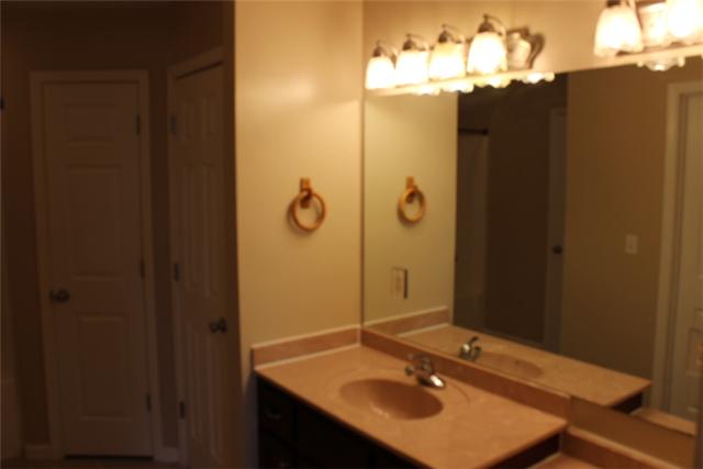 5773 Youngville Road Springfield, TN 37172 - Photo 11 of 19 a bathroom with a sink and a mirror