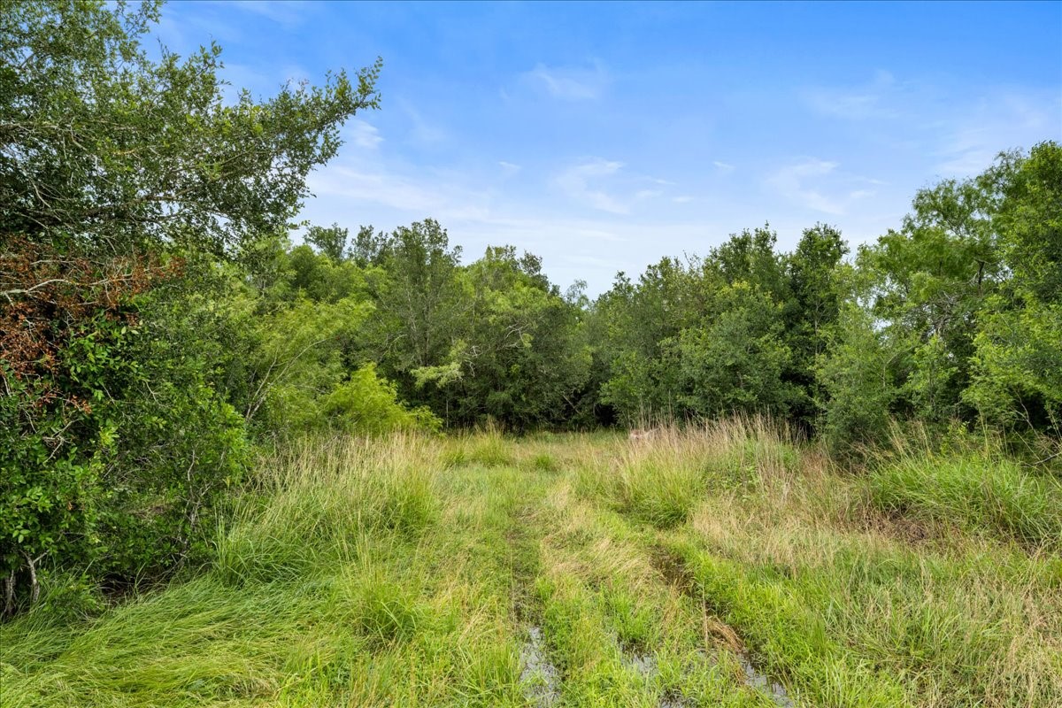 288 Charcoal Road Rosanky, TX 78953 - Photo 19 of 23 a view of lake background with houses