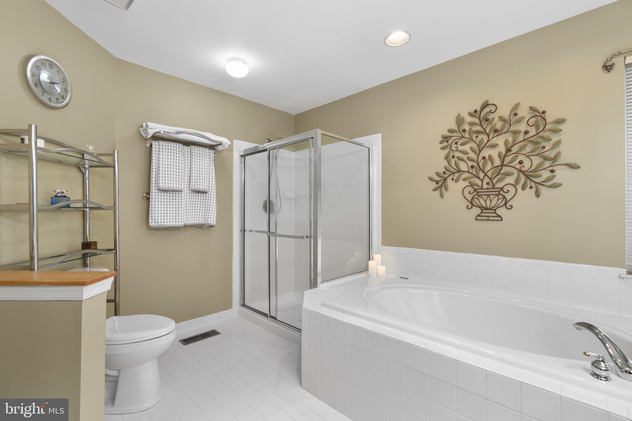 5904 Clear Ridge Road Elkridge, MD 21075 - Photo 29 of 58 Separate shower