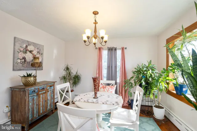 a dining room with furniture potted plants and wooden floor