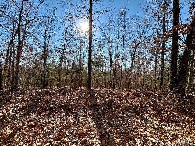 $42,500 | 12-17 County Road 4253, Salem, MO 65560