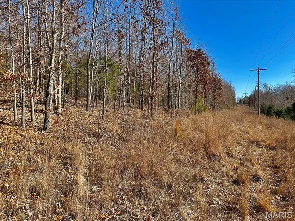 $31,900 | 12-17 County Road 4253, Salem, MO 65560
