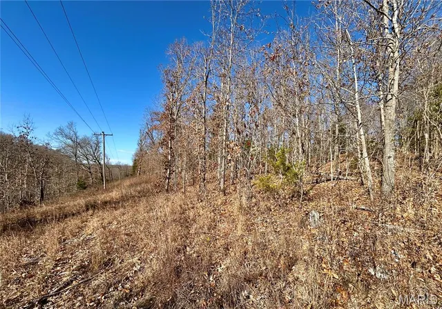 $34,900 | 12-17 County Road 4253, Salem, MO 65560