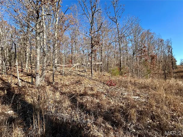 $31,900 | 12-17 County Road 4253, Salem, MO 65560