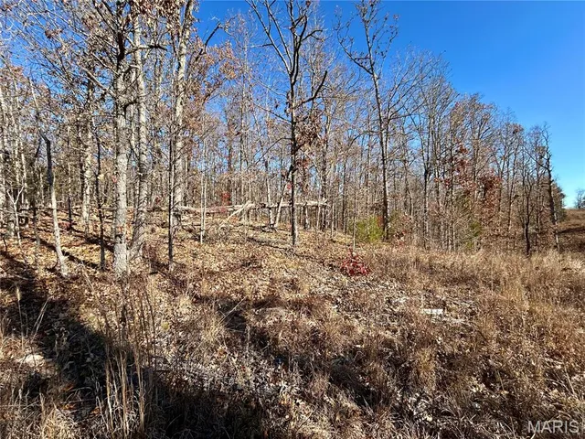 $34,900 | 12-17 County Road 4253, Salem, MO 65560