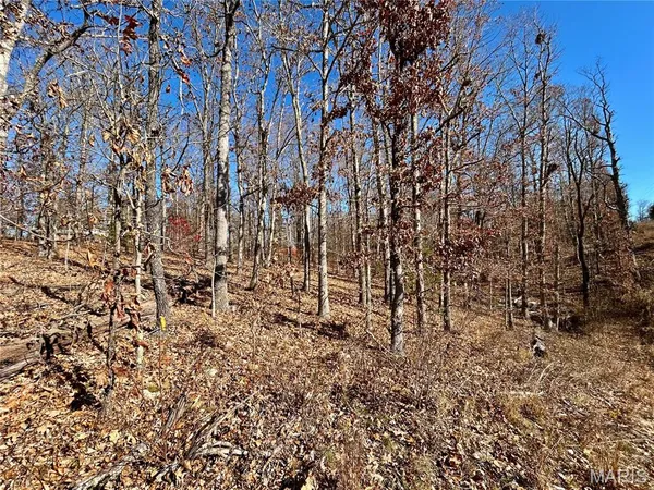 $31,900 | 12-17 County Road 4253, Salem, MO 65560