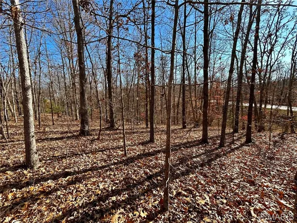 $31,900 | 12-17 County Road 4253, Salem, MO 65560