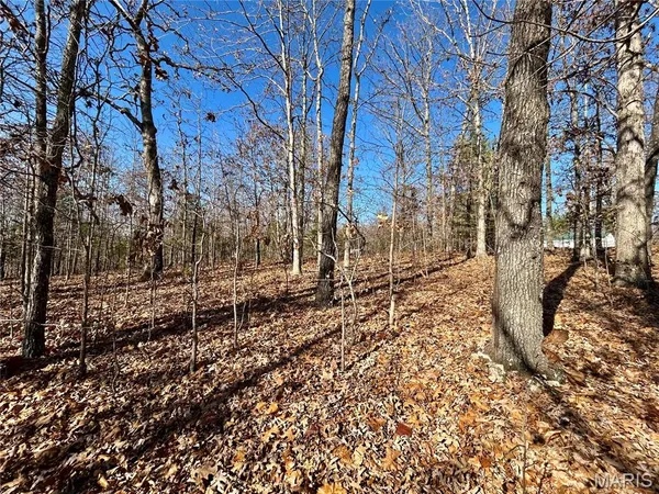 $31,900 | 12-17 County Road 4253, Salem, MO 65560