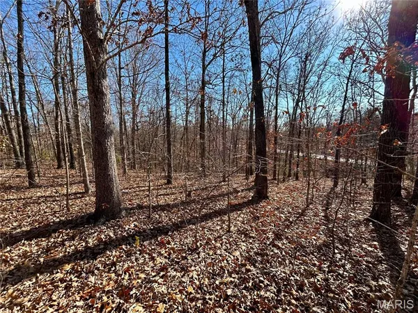 $31,900 | 12-17 County Road 4253, Salem, MO 65560